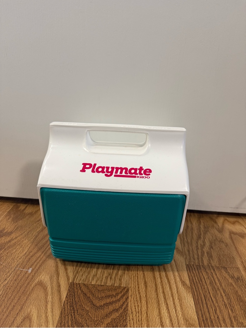 Portable Cooler - Not an Electronics Item